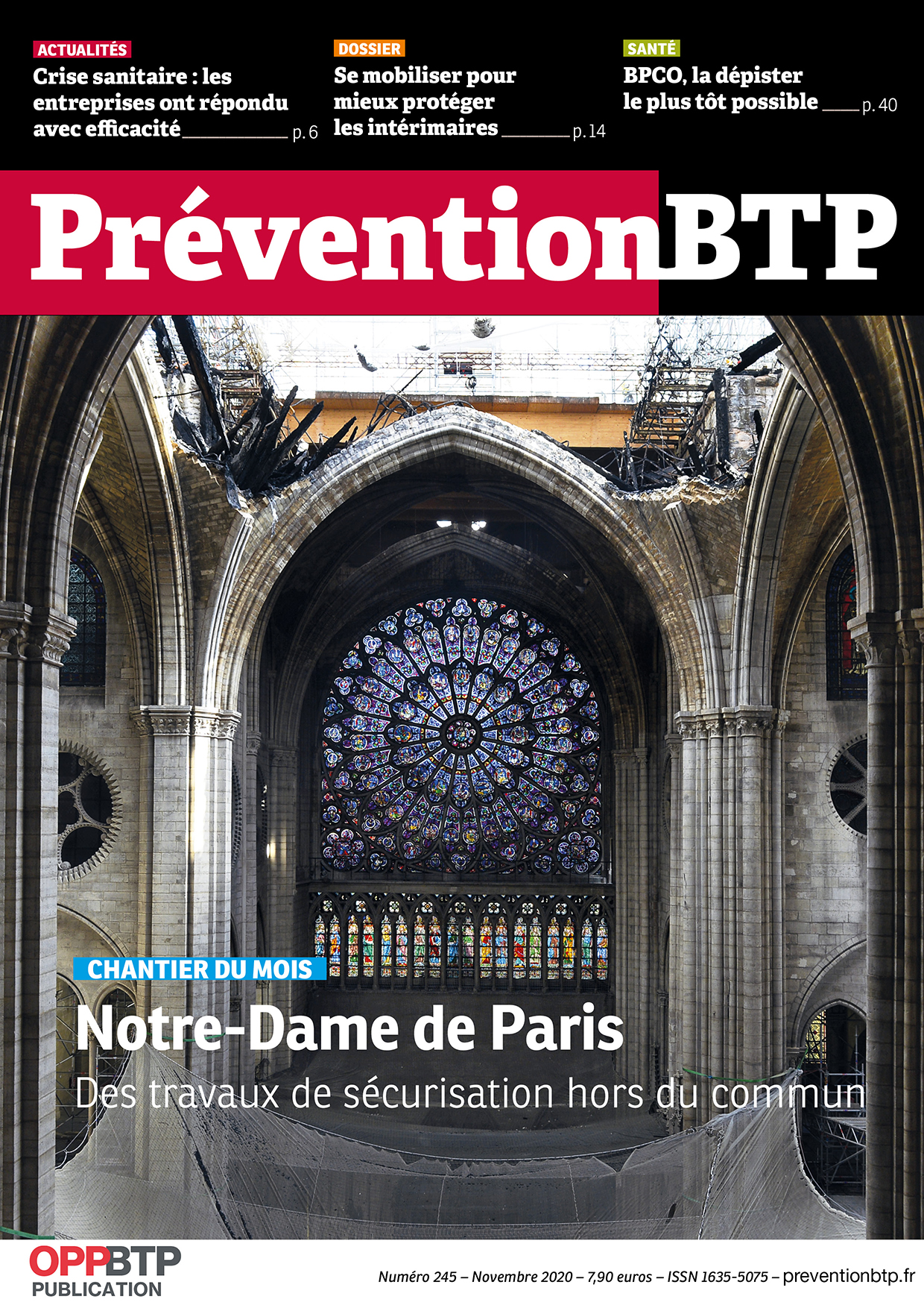 N°245 - Notre-Dame de Paris : des travaux de sécurisation hors du commun