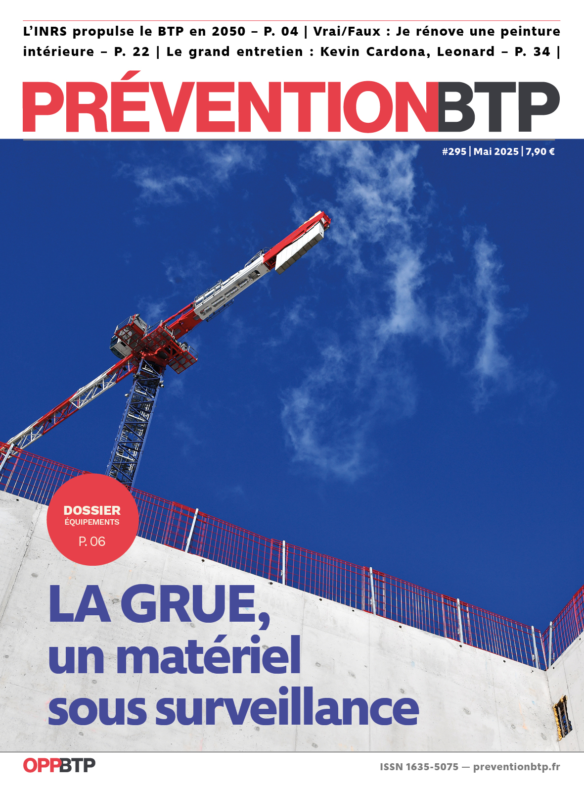 N°295 - La grue, un matériel sous surveillance