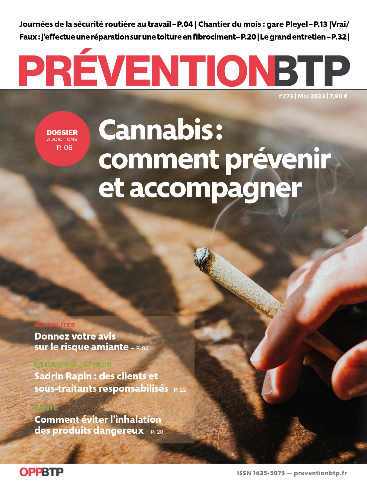 N°273 - Cannabis : comment prévenir et accompagner